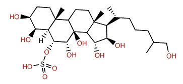 5a-Cholestane-3b,4b,6a,7a,8,15b,16,26-octol 6-sulfate